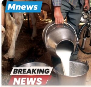 1 सितंबर से मुंबई में महंगा होगा दूध, थोक कीमत में ₹9 प्रति लीटर का बड़ा इजाफा