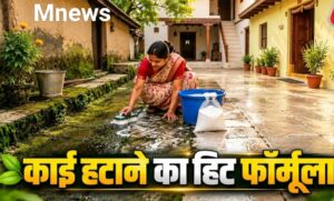बारिश में छत-आंगन पर जम गई जिद्दी काई? ₹5 के सफेद पाउडर से ऐसे करें सफाई, फिसलने का खतरा भी होगा कम