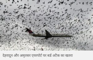 देहरादून और अमृतसर एयरपोर्ट पर बर्ड स्ट्राइक का खतरा, चील-कबूतर समेत 21 प्रजातियां हाई रिस्क