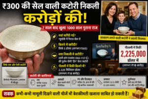 ₹300 की सेल वाली कटोरी निकली करोड़ों की! 7 साल बाद खुला 1000 साल पुराना राज, जानिए पूरी कहानी